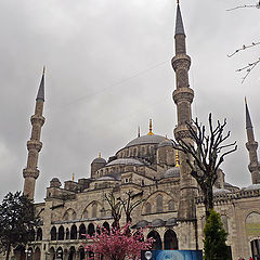 photo "Minarets"