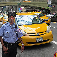 photo "Friendly dispatcher"