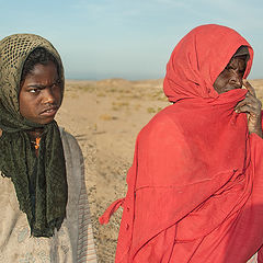 photo "Desert Nomads"