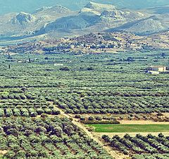 photo "Messara Plain. Crete."