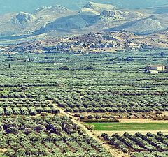 фото "Messara Plain. Crete."