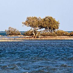 photo "MANGAROUF ISLAND"