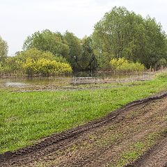 фото "Весна"