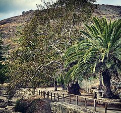 photo "The antique Gortyna. Crete."