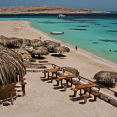 photo "The Red Sea, Egypt."