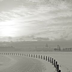 фото "Saint Petersburg grayscale"