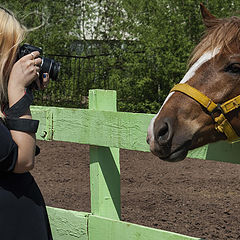 фото "Фотография на память..."