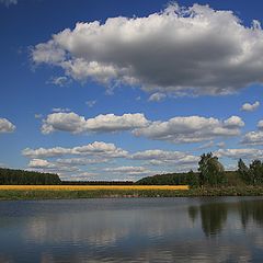 фото "Месяц май"