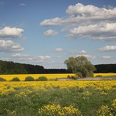 фото "Золотая Русь"