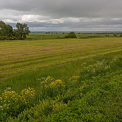 photo "Six months of bad weather. . ."