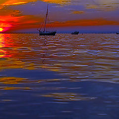 photo "Estuary Sunset"