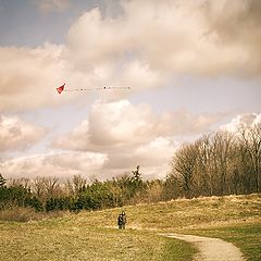 photo "lonely kite"