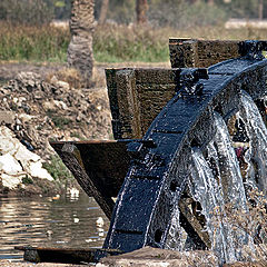 фото "Water wheel and the Farmer"