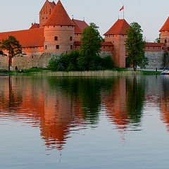 photo "In the evening light"