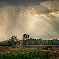 фото "Storm Brewing"