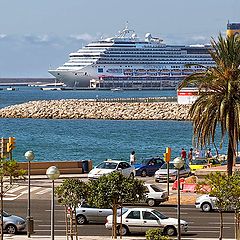 photo "View of the port in Palma"