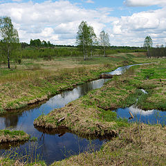 фото "Поздневесенняя"