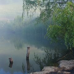 фото "Утро."