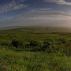 фото "Летние прогулки ..."