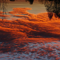 photo "The inverted sunset"