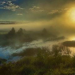 photo "About Volyn swamp ..."