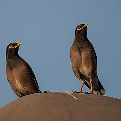 photo "Are we being photographed"