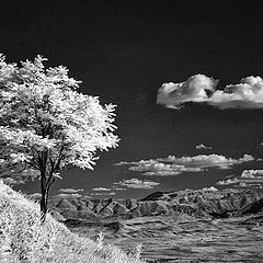 photo "Landscape in Baeza-Andalusia"