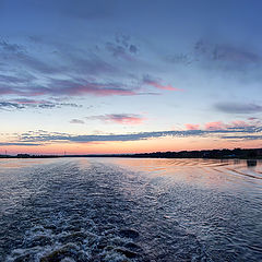 photo "summer night"