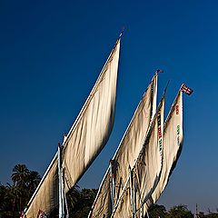 photo "Sailing on the Nile"