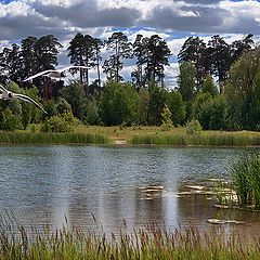 фото "Лесное озеро"