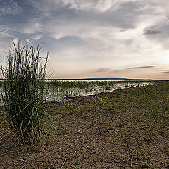 фото "Летние прогулки ..."