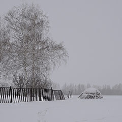 фото "За околицей"