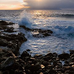 photo "Oceanfront. After the storm"