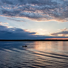 photo "summer night"