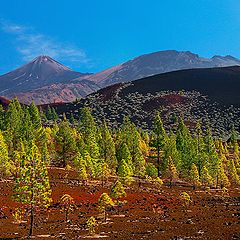 photo "Teide"