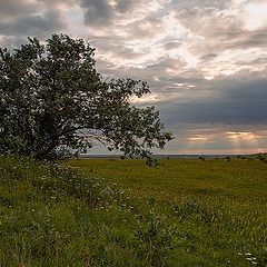 фото "Летние прогулки ..."