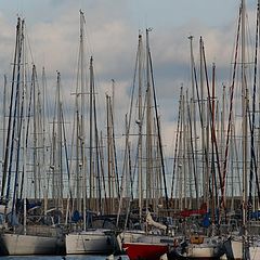 фото "the little harbour"