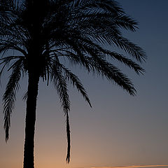 photo "Mediterranean sunrise"