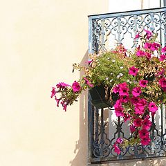 фото "balcony"