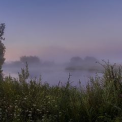 фото "Утром , на старице..."