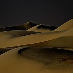 фото "Dunes 31"