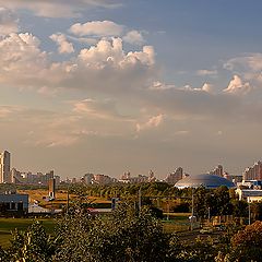 фото "Городские джунгли"