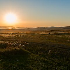 фото "Утро"