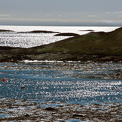 photo "Arctic summer,,,"