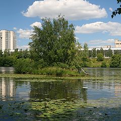 фото "Необитаемый остров"