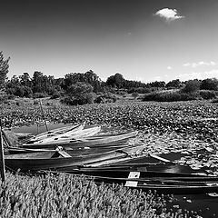 photo "Barcos"