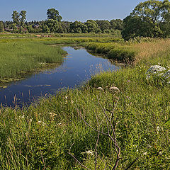 photo "Uleyma river"