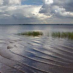 фото "Перед дождем"