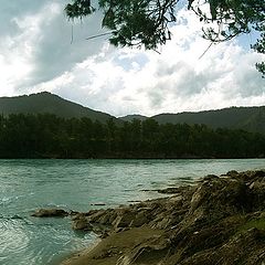 photo "***"