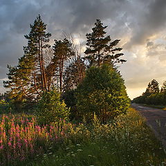 фото "Летний вечер"